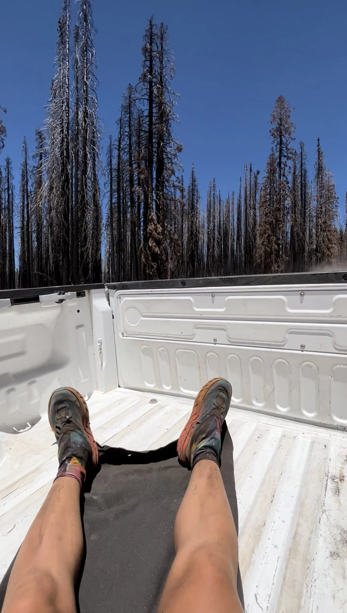 Day 91, July 17: Mile 1300 to 1305 and into Butte Meadows