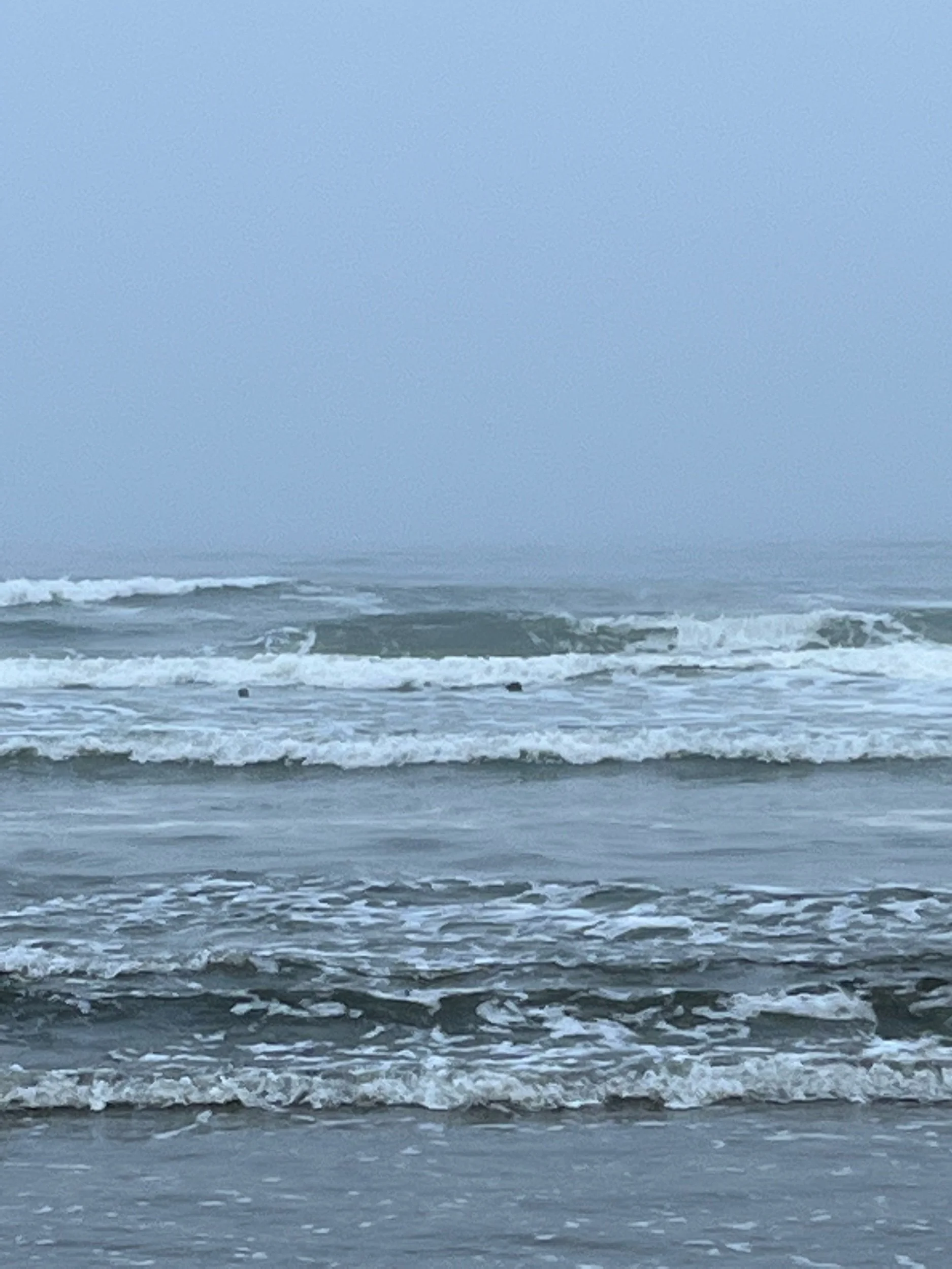 IMG_1919.jpeg