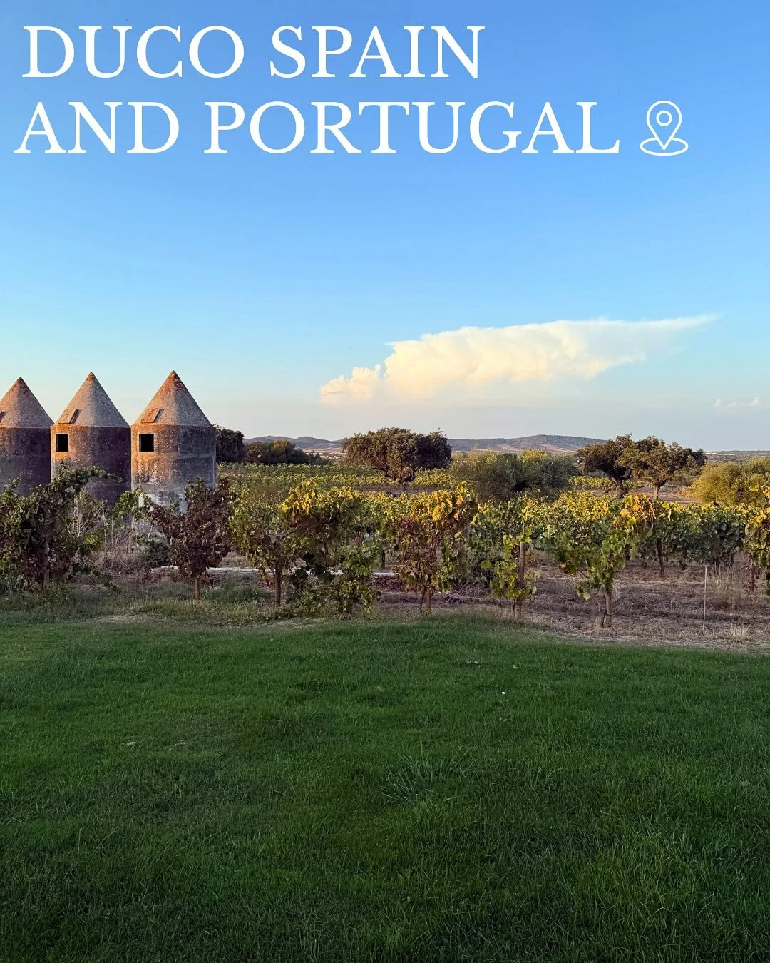 From Porto&rsquo;s riverside charm to the serene beauty of @sao_lourenco_do_barrocal and the vibrant streets of Lisbon, Portugal revealed its depth through culture, cuisine, and character. Our week at @ducospainportugal was a celebration of connectio