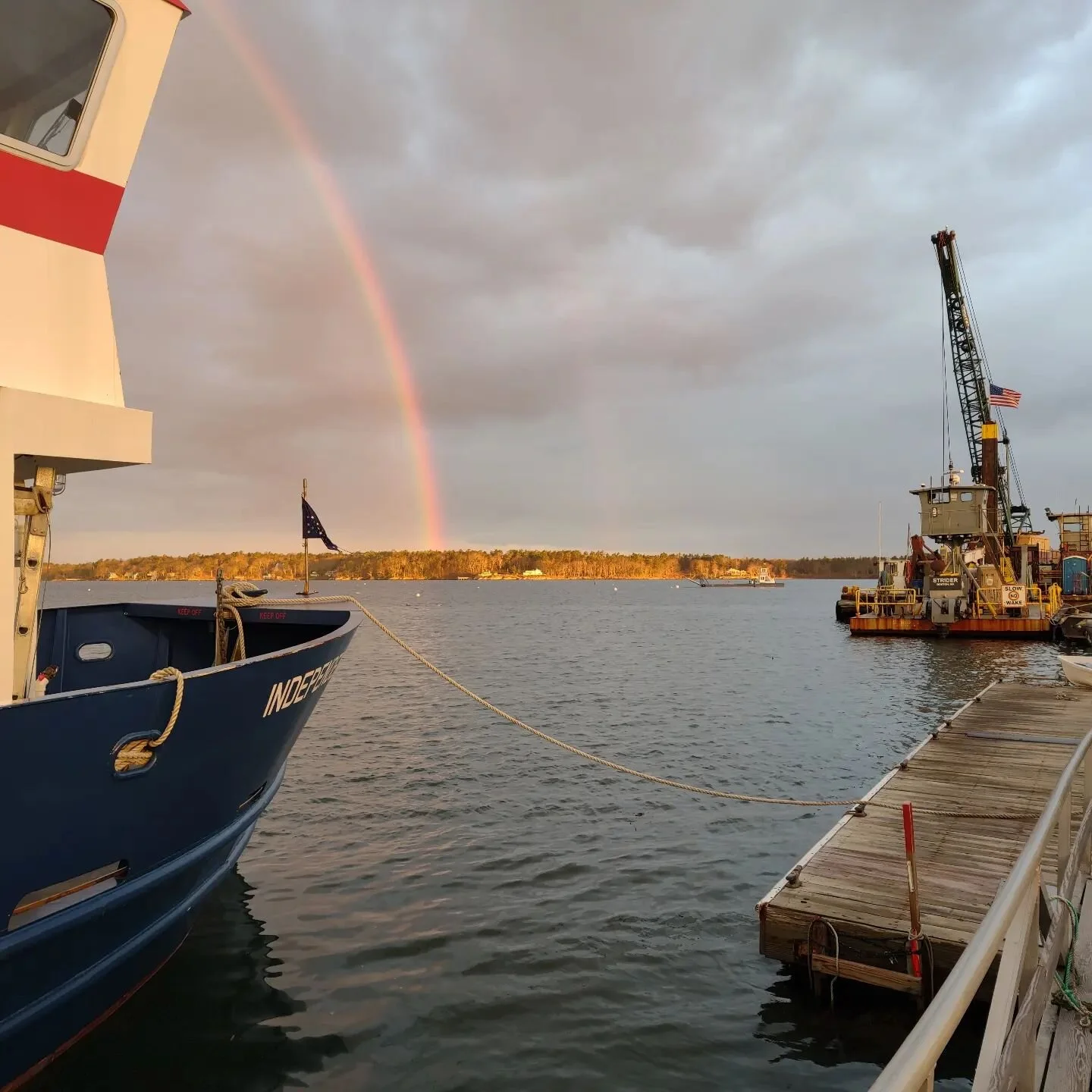 chebeague-transportation-company