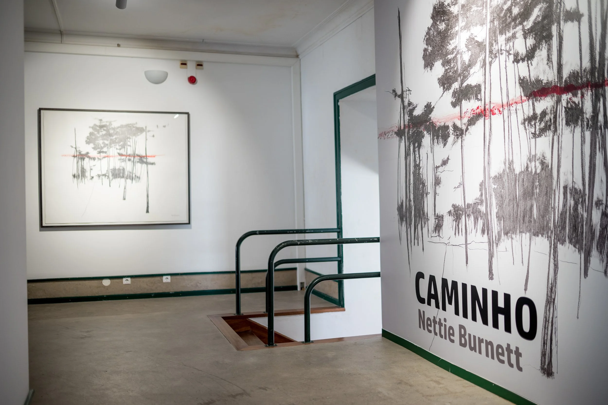 CAMINHO-72.jpg