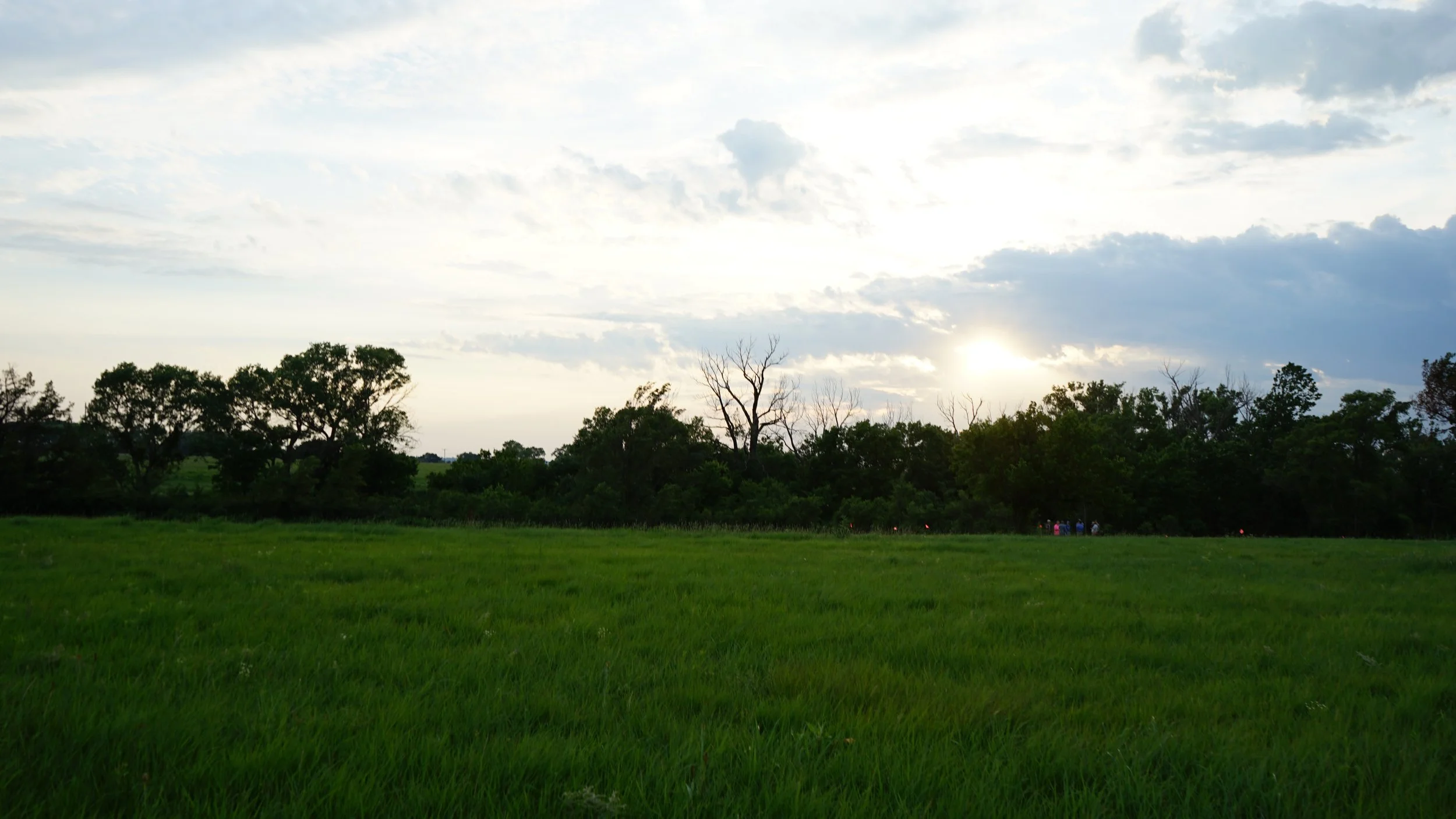 DSC07100.JPG