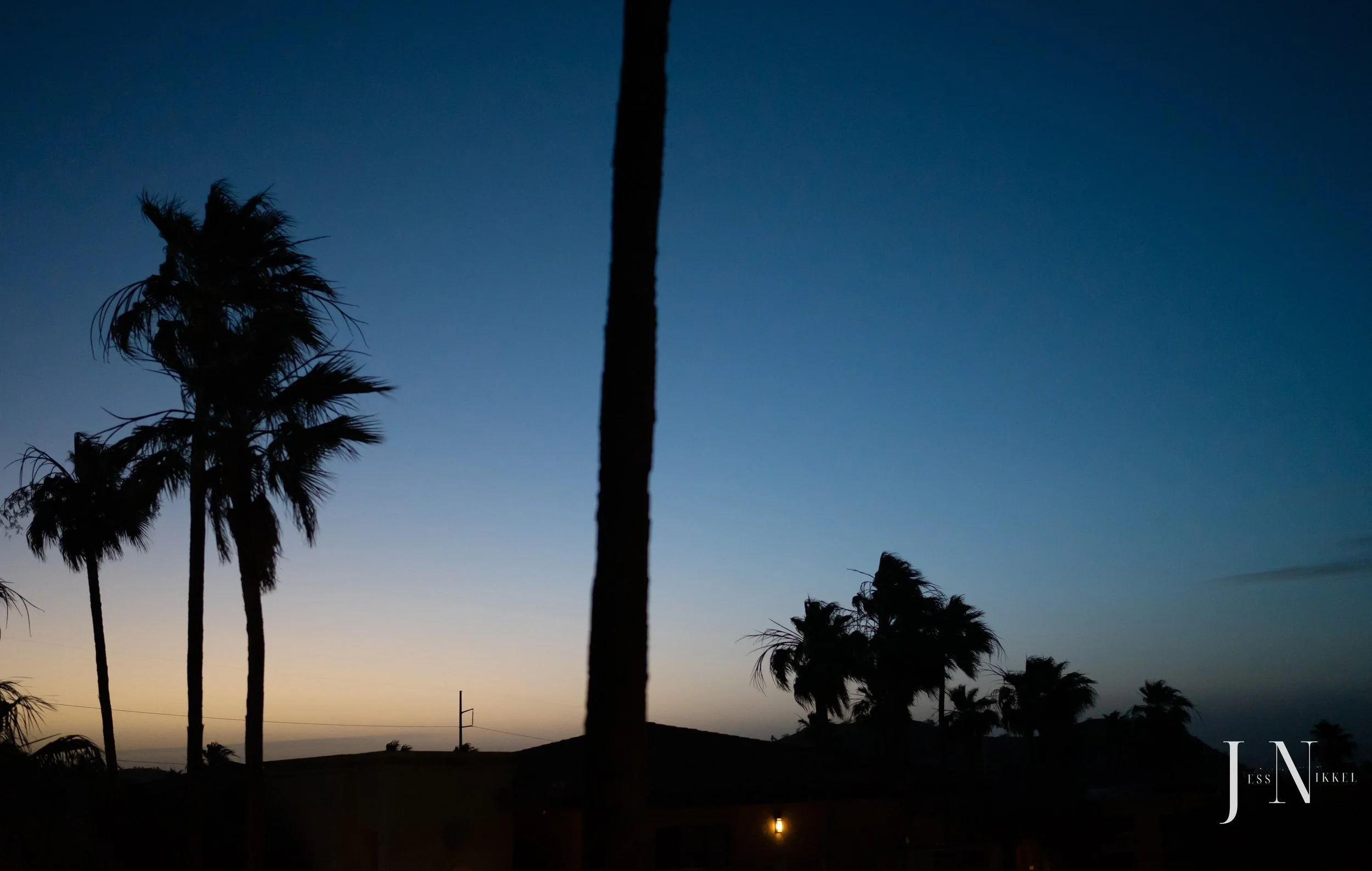 sunset, palm trees, desert, arizona