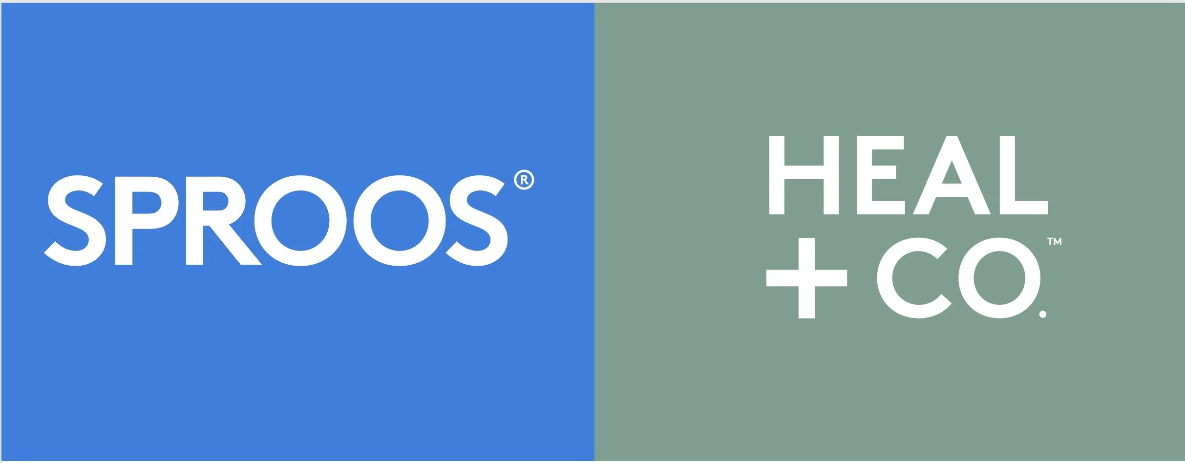 Image 2022-10-11 at 5.44 PM.jpg