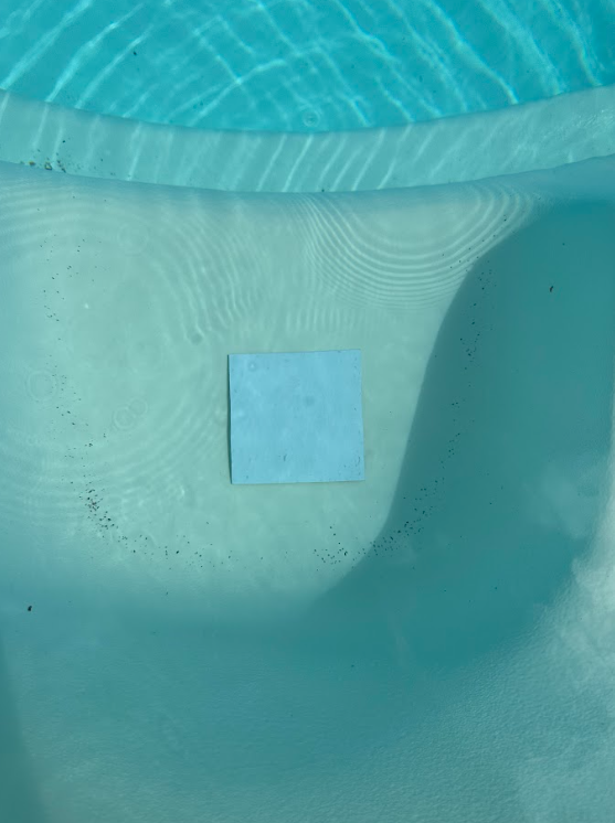 Alfonso underwater.png