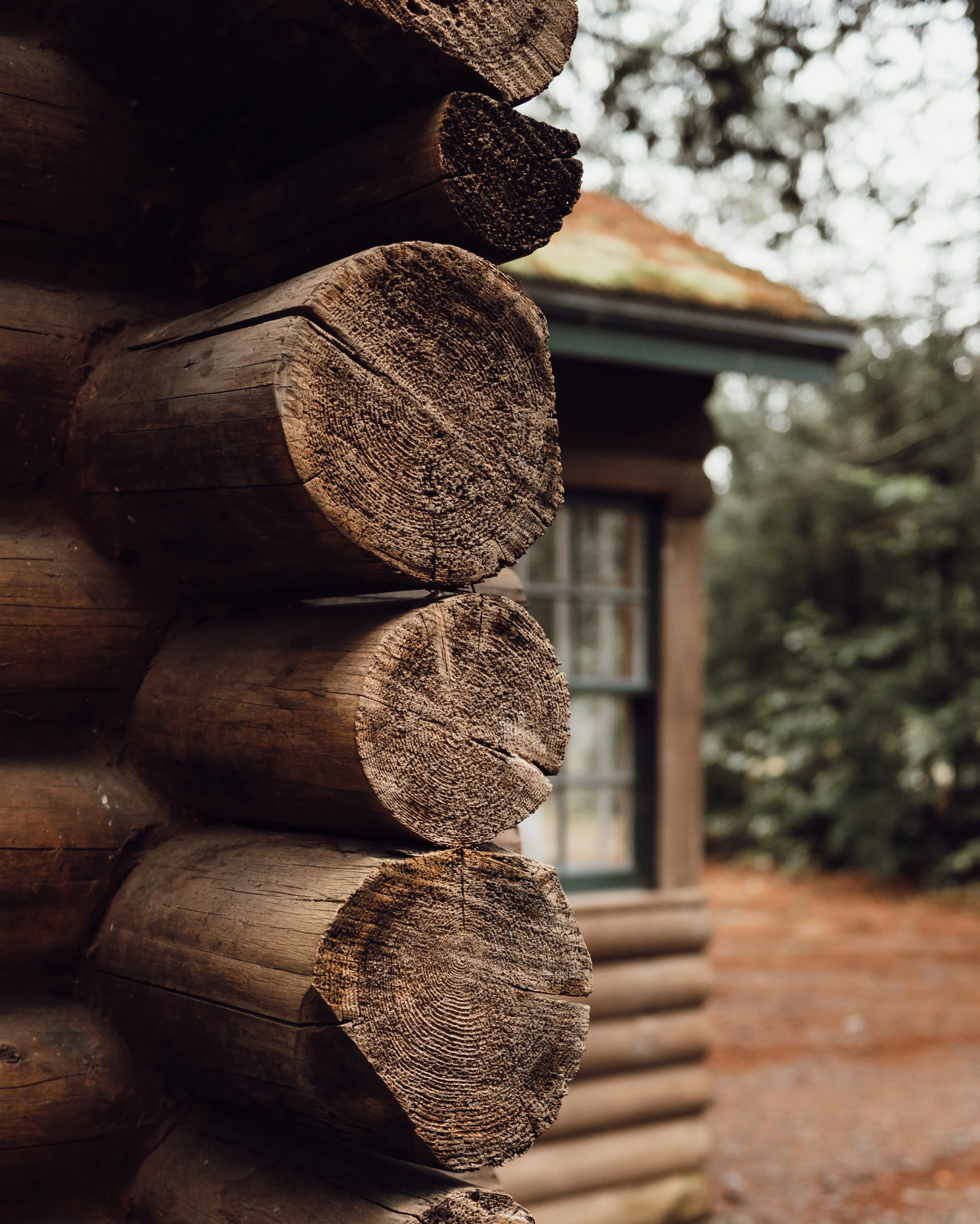 conscious-cabin-55.jpg