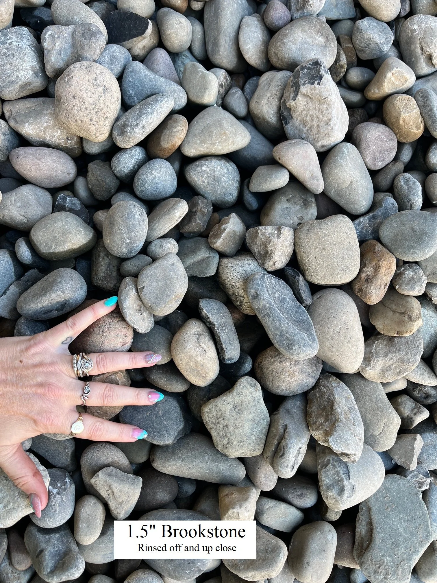 1.5" Brookstone - (Close up and rinsed off)