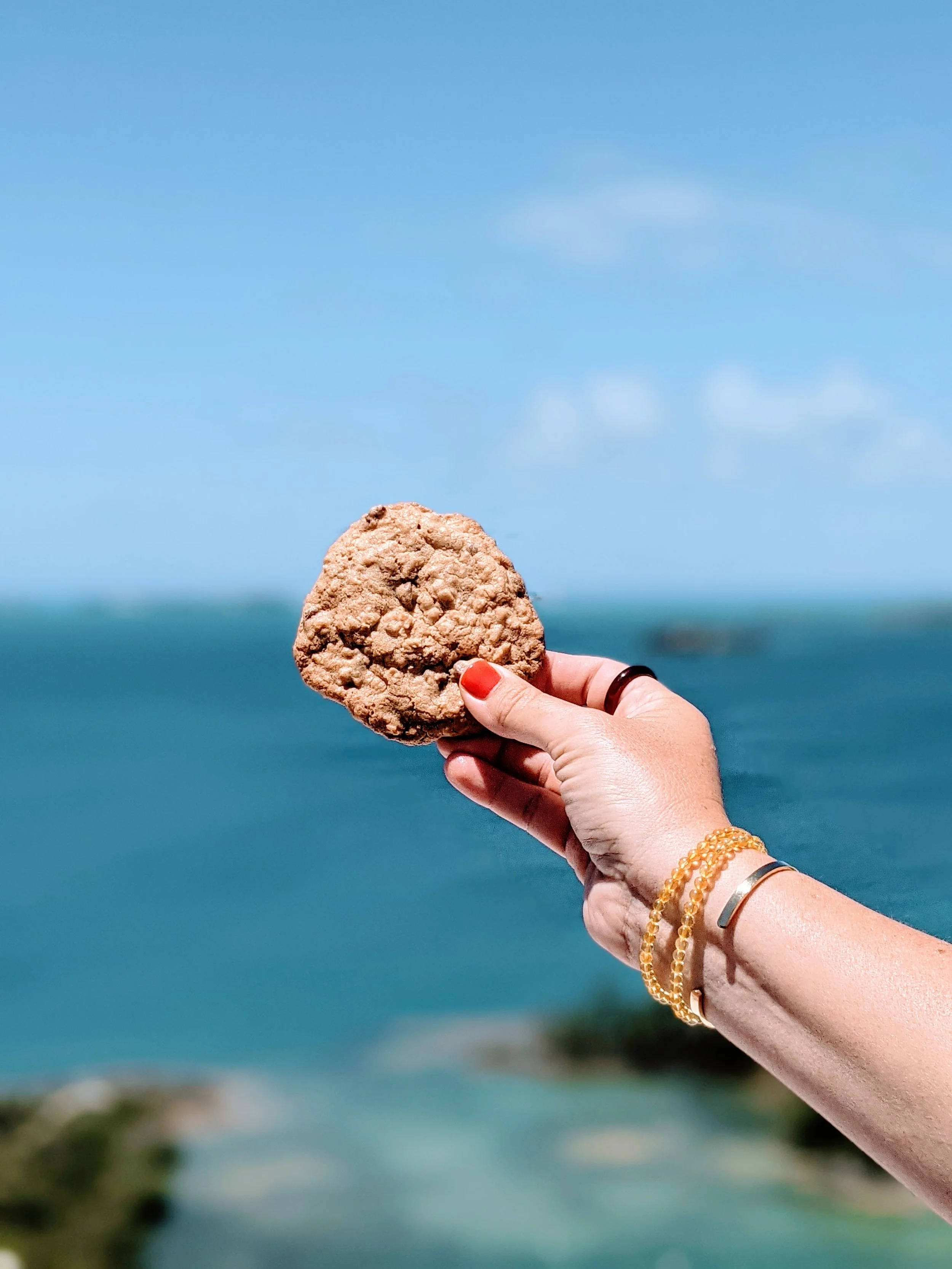 gg's cookie | Homemade cookies from Miami