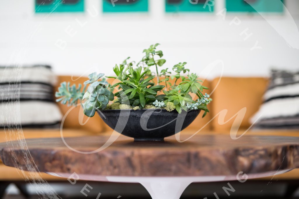 20180215Be_Strong-321.jpg
