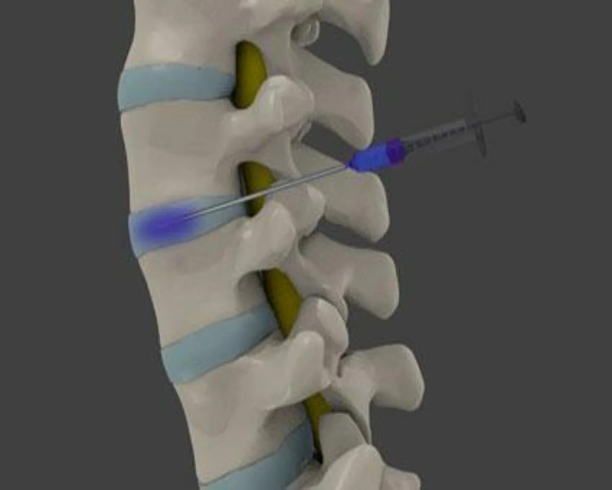 1964465 [photoutils.com] (1).jpeg