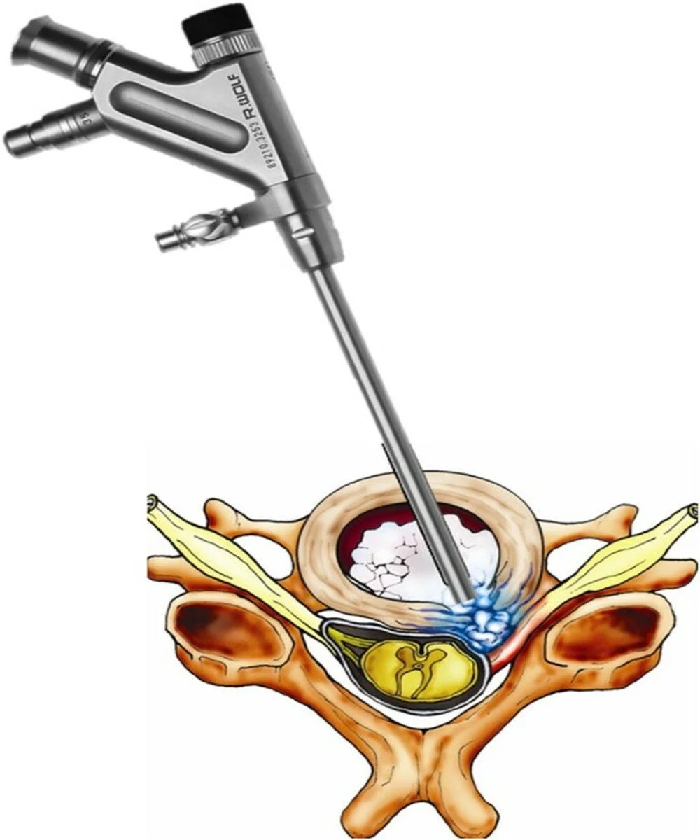 264_2018_4283_Fig5_HTML [photoutils.com] (1).jpeg
