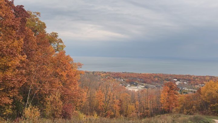 Work in Progress 🚜🌳 Can anyone guess the location of our current project?

Hint: it&rsquo;s one of our favorites 🎿⛷️🚠

#OntarioTrees #SkiHillProject #SustainableForestry #BoutiqueTreeSale #LocallyGrown #TreePlanting #EcoFriendly #CanadianForests 