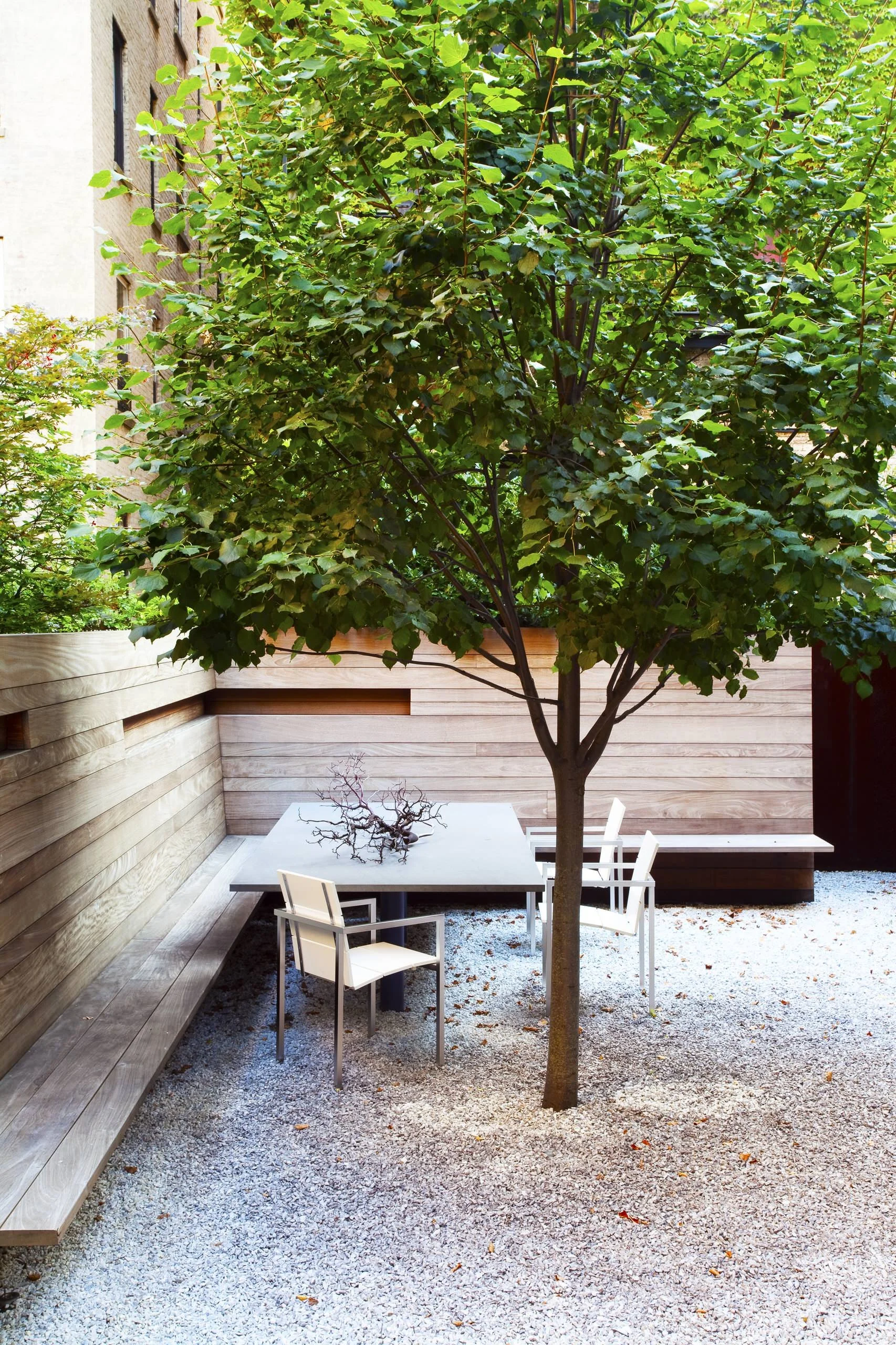 Large-canopy trees that provide cooling shade