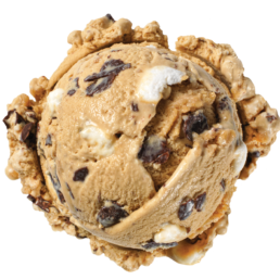 s'more ice cream
