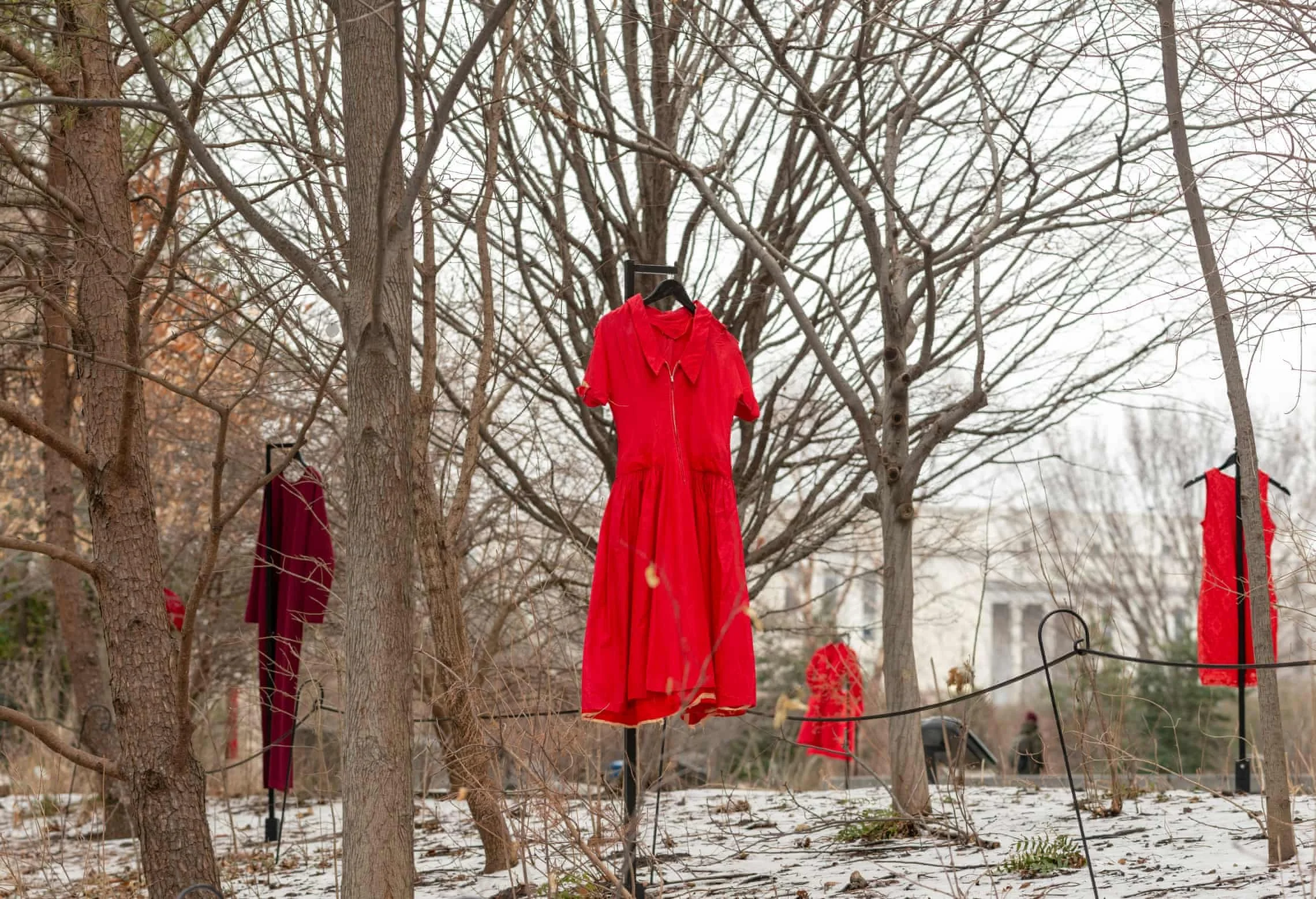 This Week in Native American News (3/8/19): Amazing Women, Free Pet Services, and Stolen Artifacts