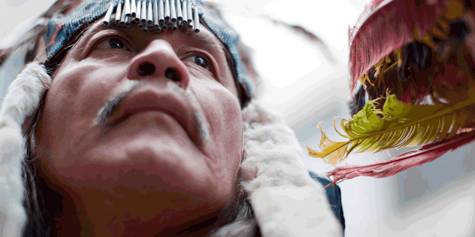 This Week in Native American News (1/5/18): community changers, ecological activists, and ice age babies