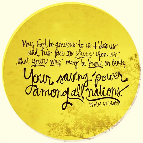 Volunteers Plant, Staff Waters, the Holy Spirit Grows