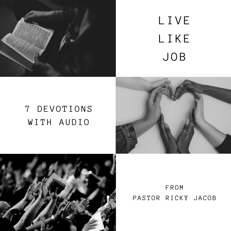 live like job (7 devotions)