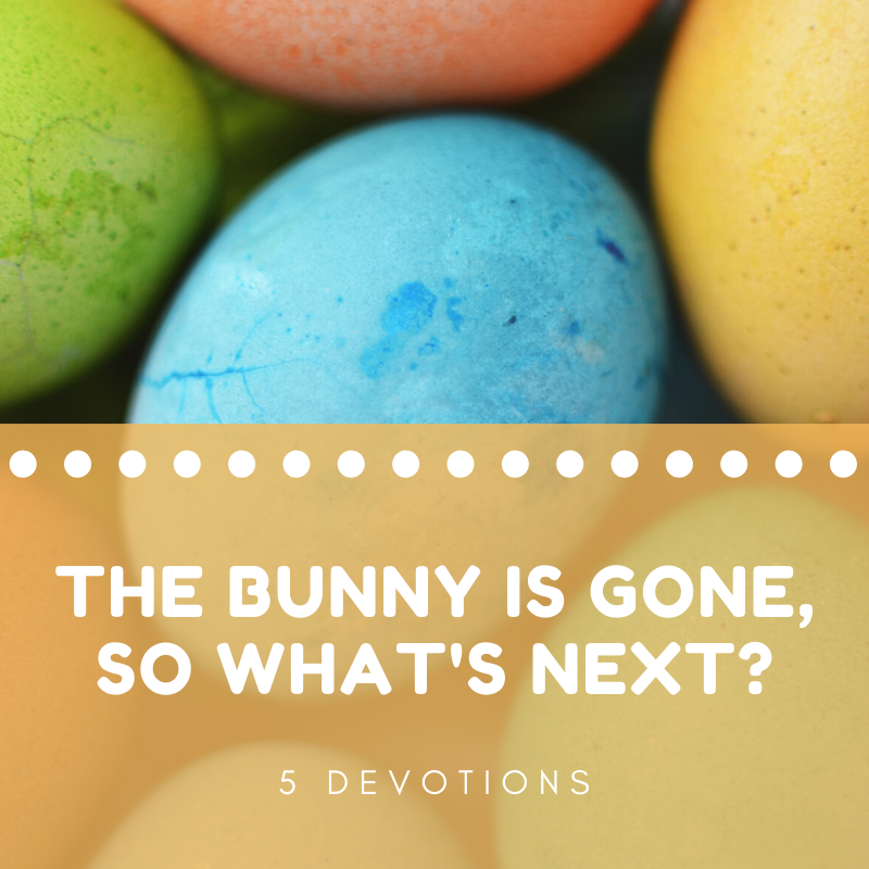 the bunny is gone (5 devotions)