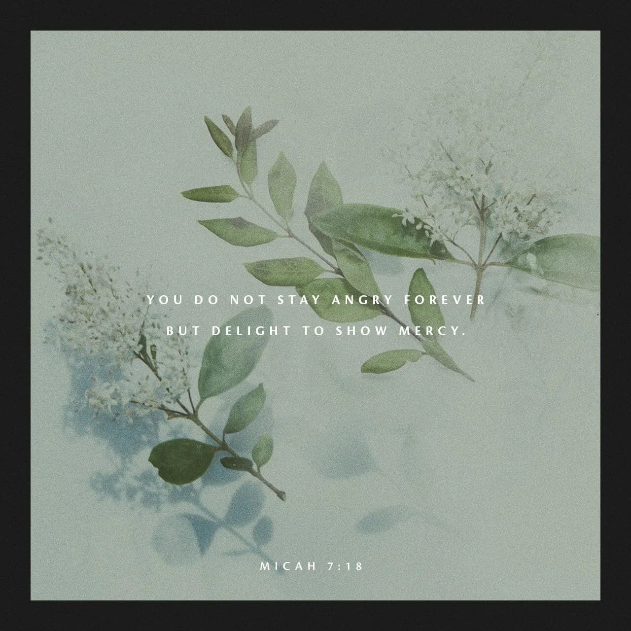 The Final Word - Monday, December 14 (Advent 2020)