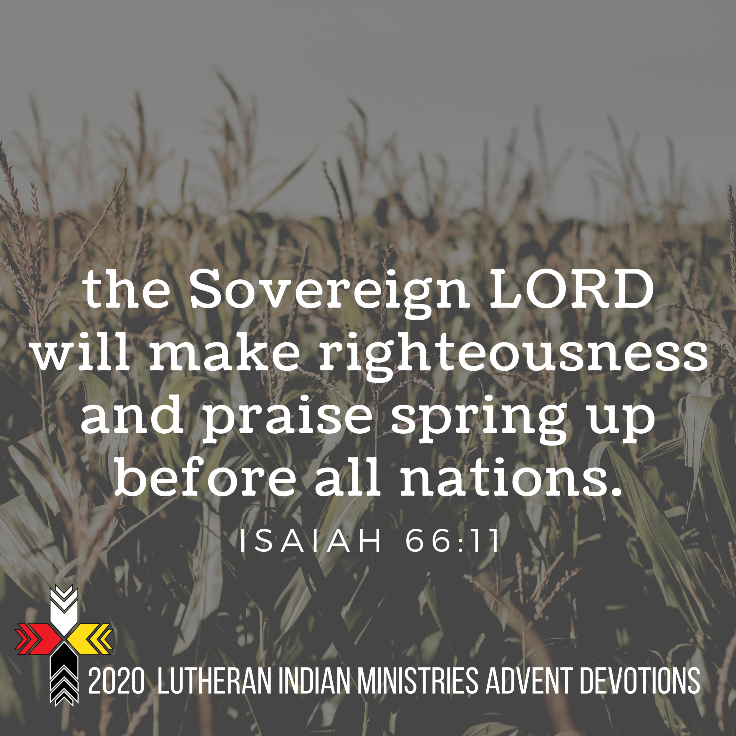 In anticipation... (Advent 2020)