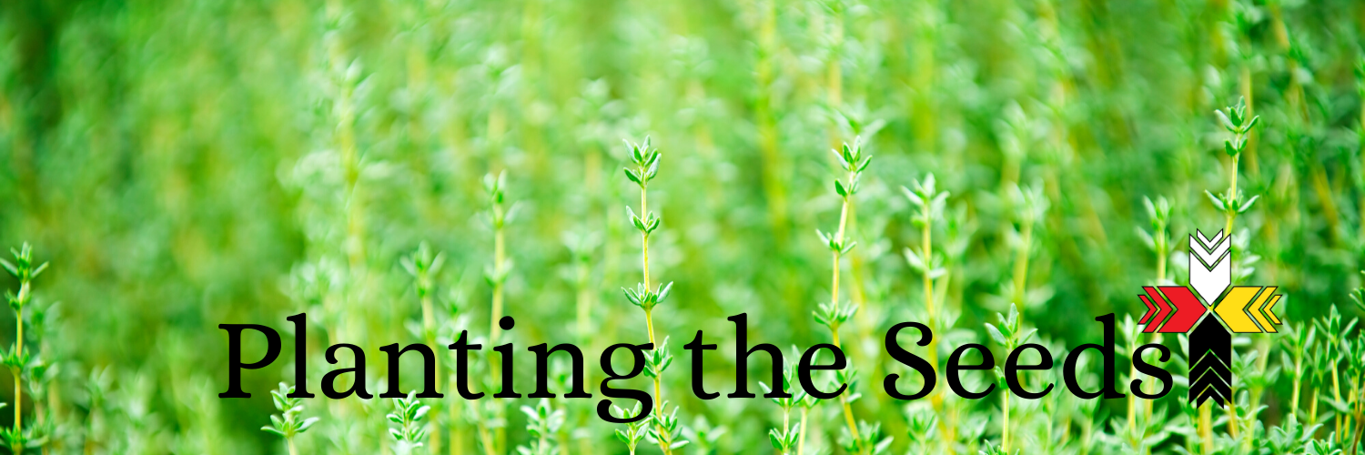 Planting Seeds in Navajo