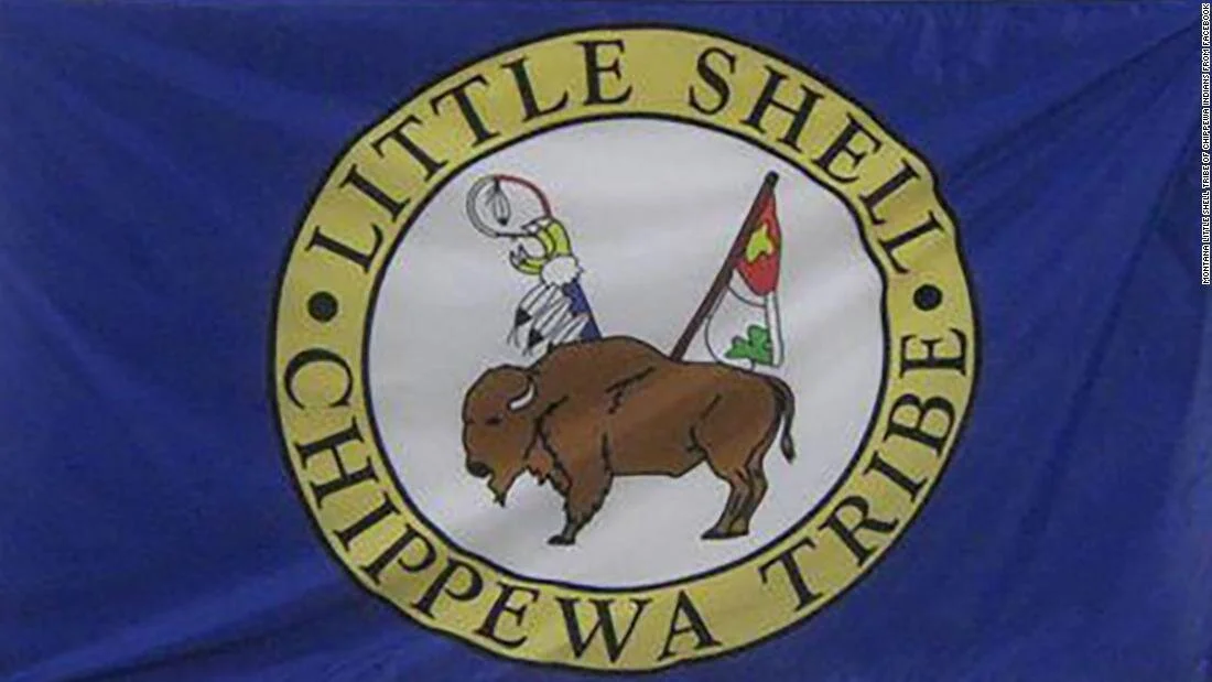 This Week in Native American News (1/3/2020): A new federally recognized tribe, what to do after the women are found, the Native Vice-President, and baby Yoda