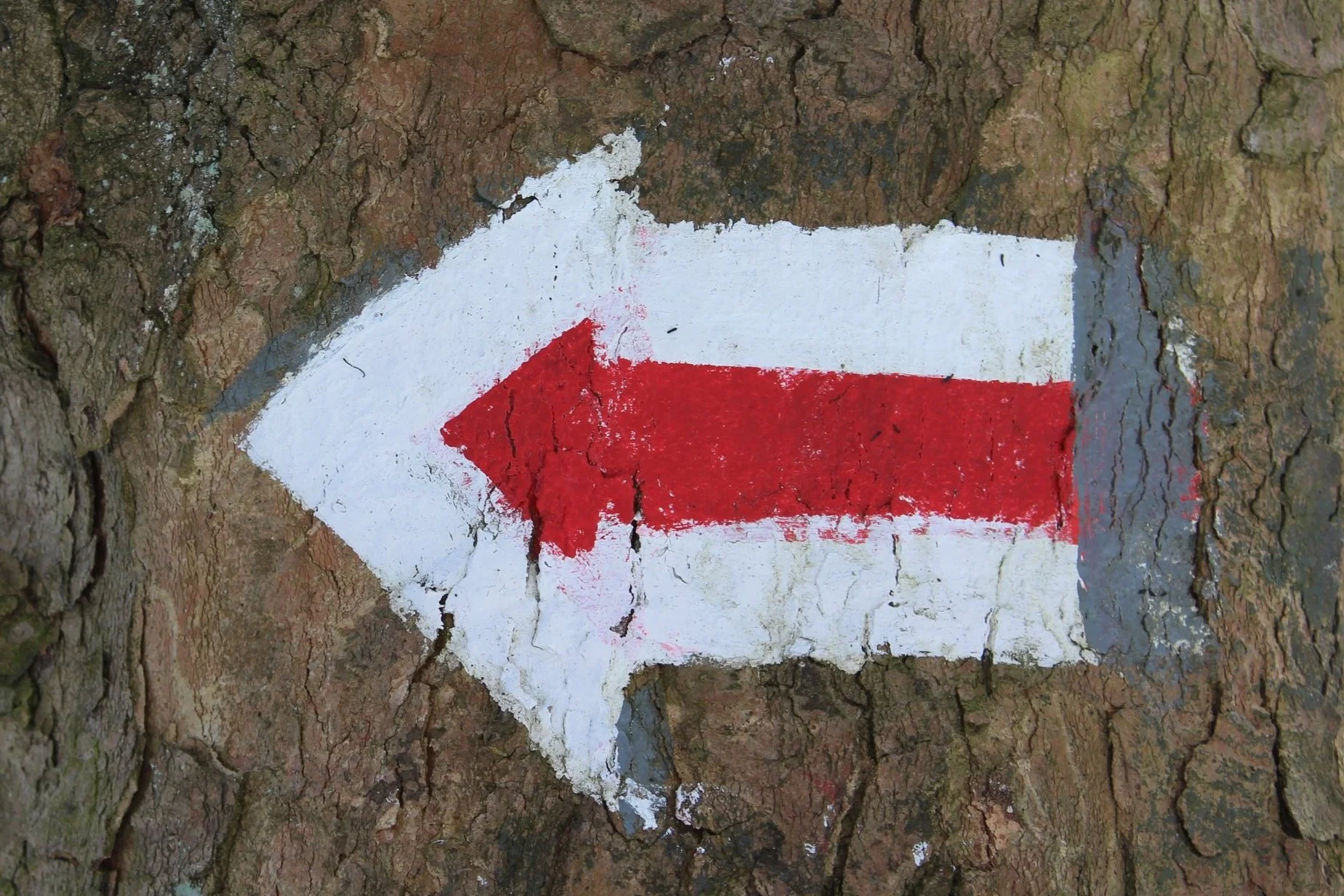 Preparation for Advent - Don't forget about Thanksgiving!