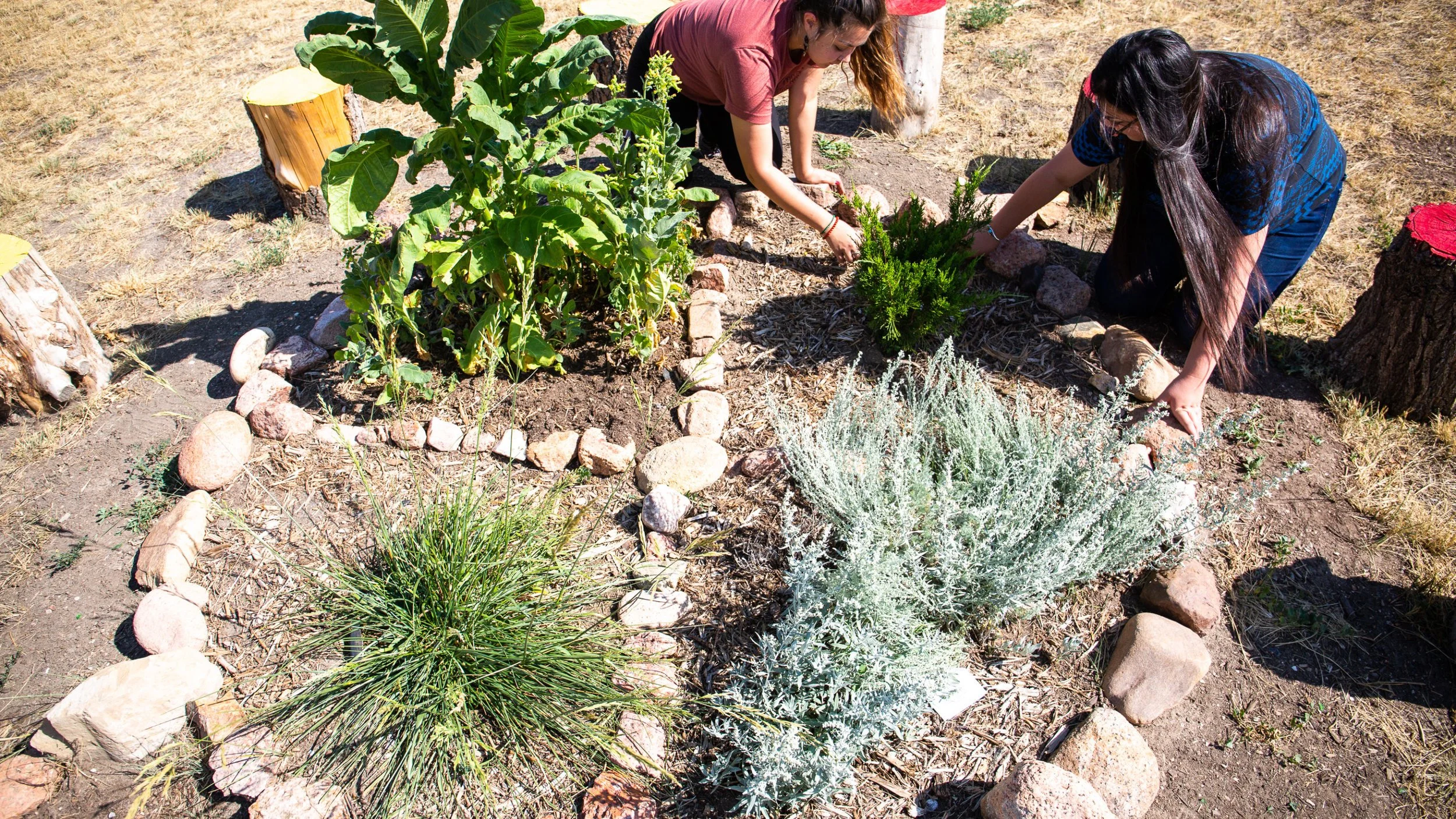 This Week in Native American News (10/24/19): healing gardens, the power of community, and amazing children’s books