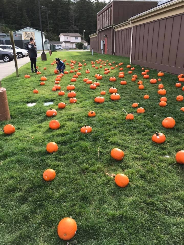 The Pumpkin Patch