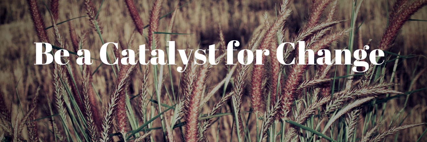 Be a Catalyst for Change 