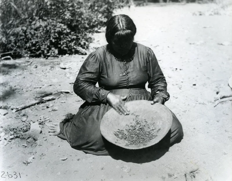 This Week in Native American News (4/6/18): Resilience in Traditions, the Violence Against Women Act, #DeleteFacebook, and Insect-Eating