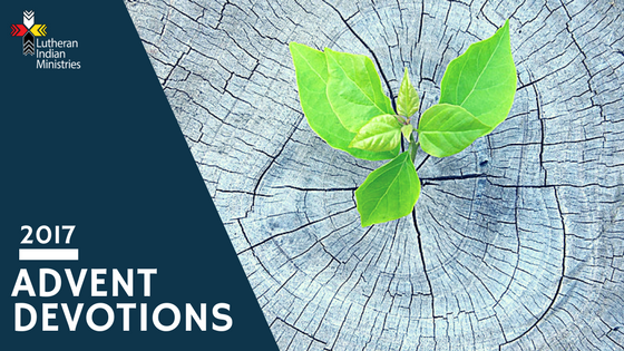 The Divine Task of Motherhood (Advent) - Wednesday, December 20