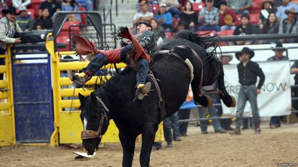 This Week in Native American News (9/1/17): Hawaiian Hurricane Helpers, Rodeo Riders, & Authentic Art