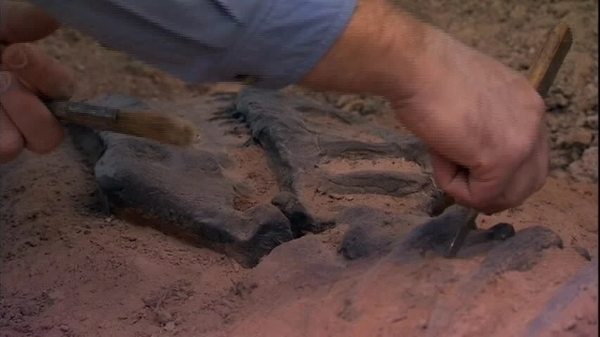 This Week in Native American News (6/2/17): dinosaurs, tweets, and teepees