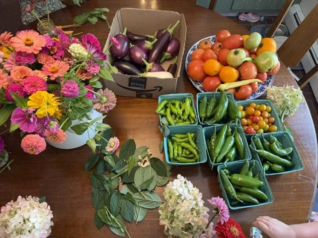 Kindness Project Harvest