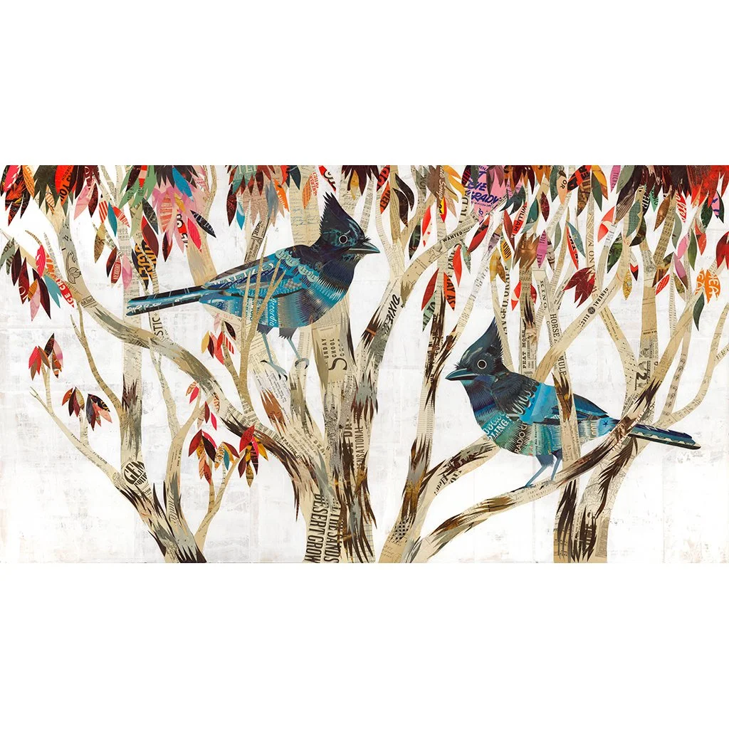 Stellar's Jay by Dolan Geiman