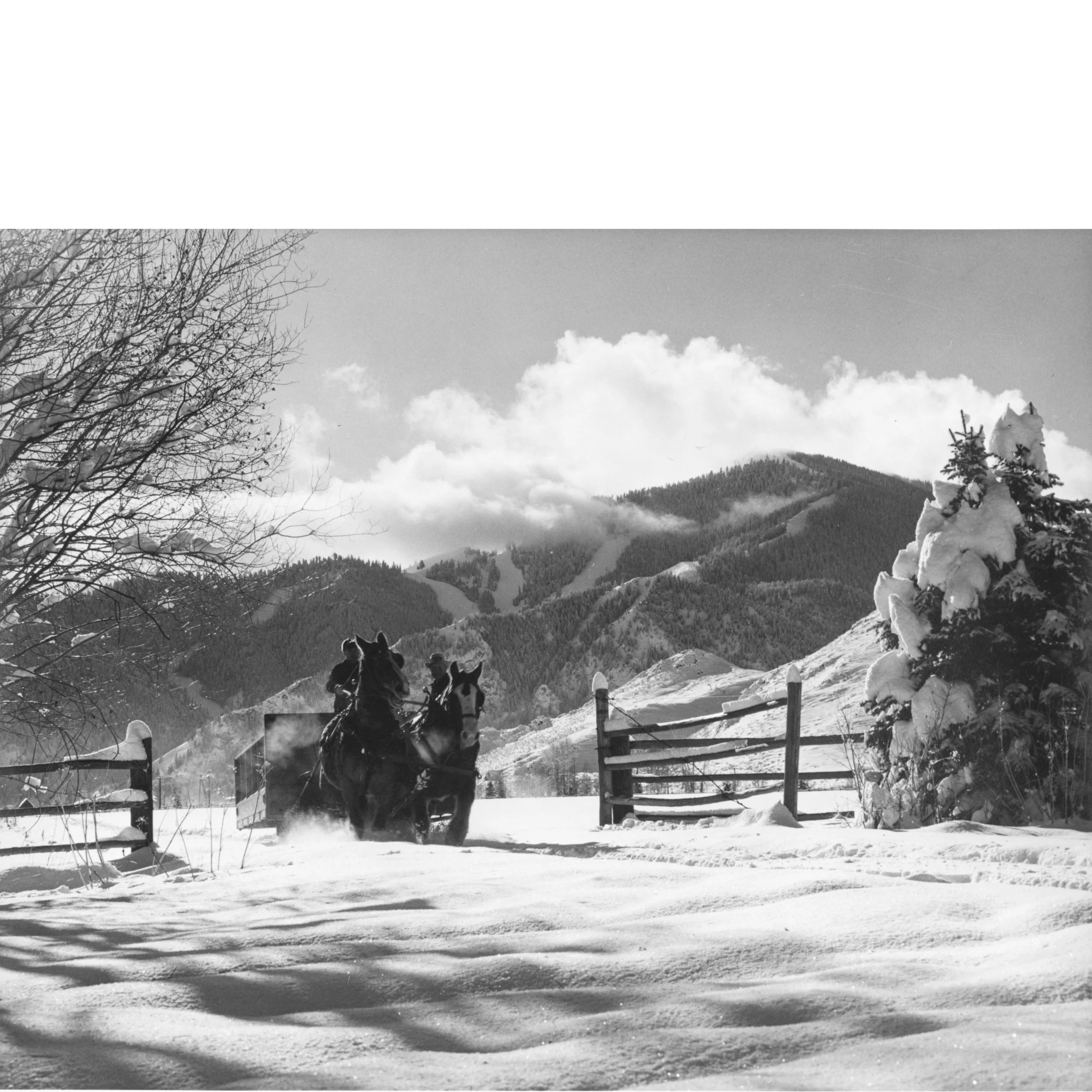Sleigh Squarespace.jpg