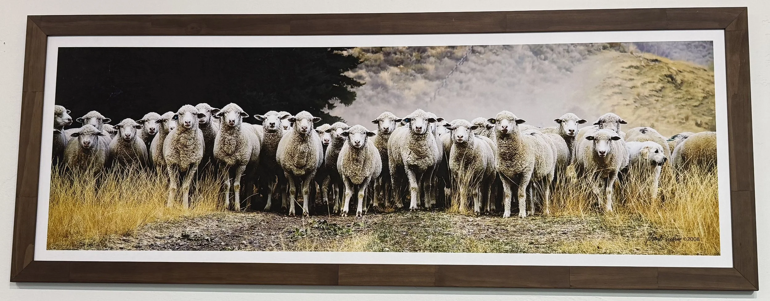 Framed sheep sample.jpg
