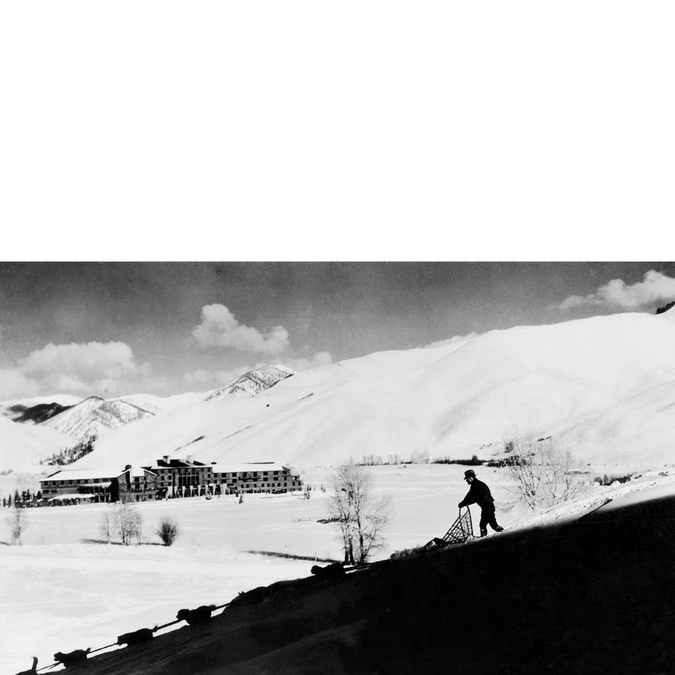 Dog Sled #31