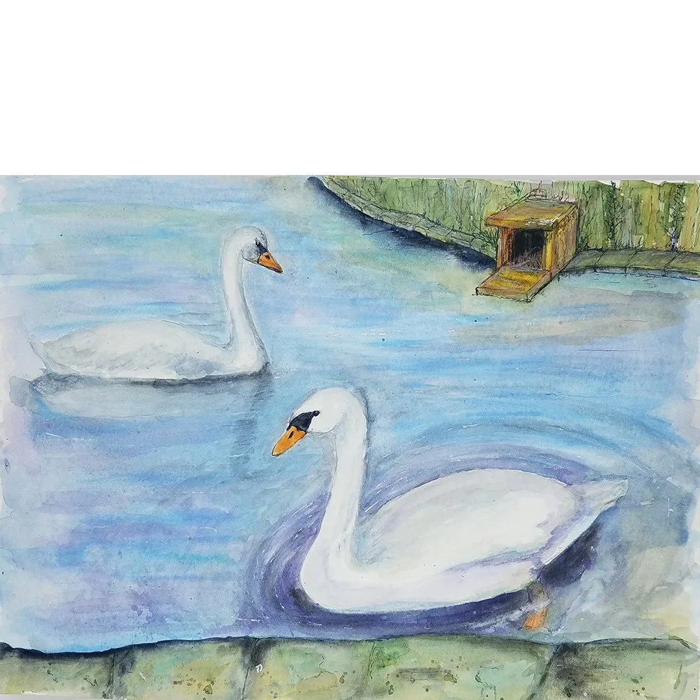 swans.jpg
