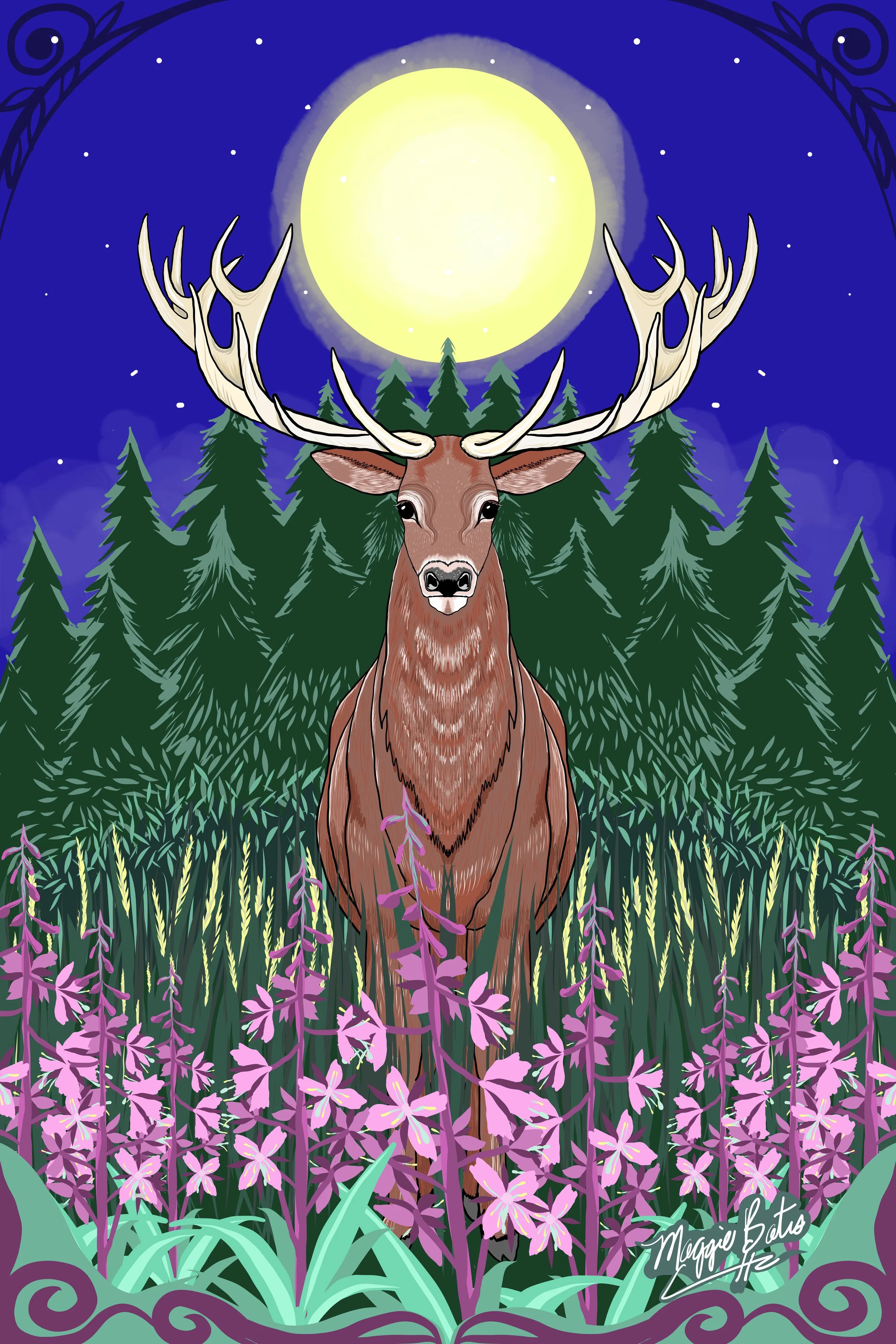 Stag.jpeg