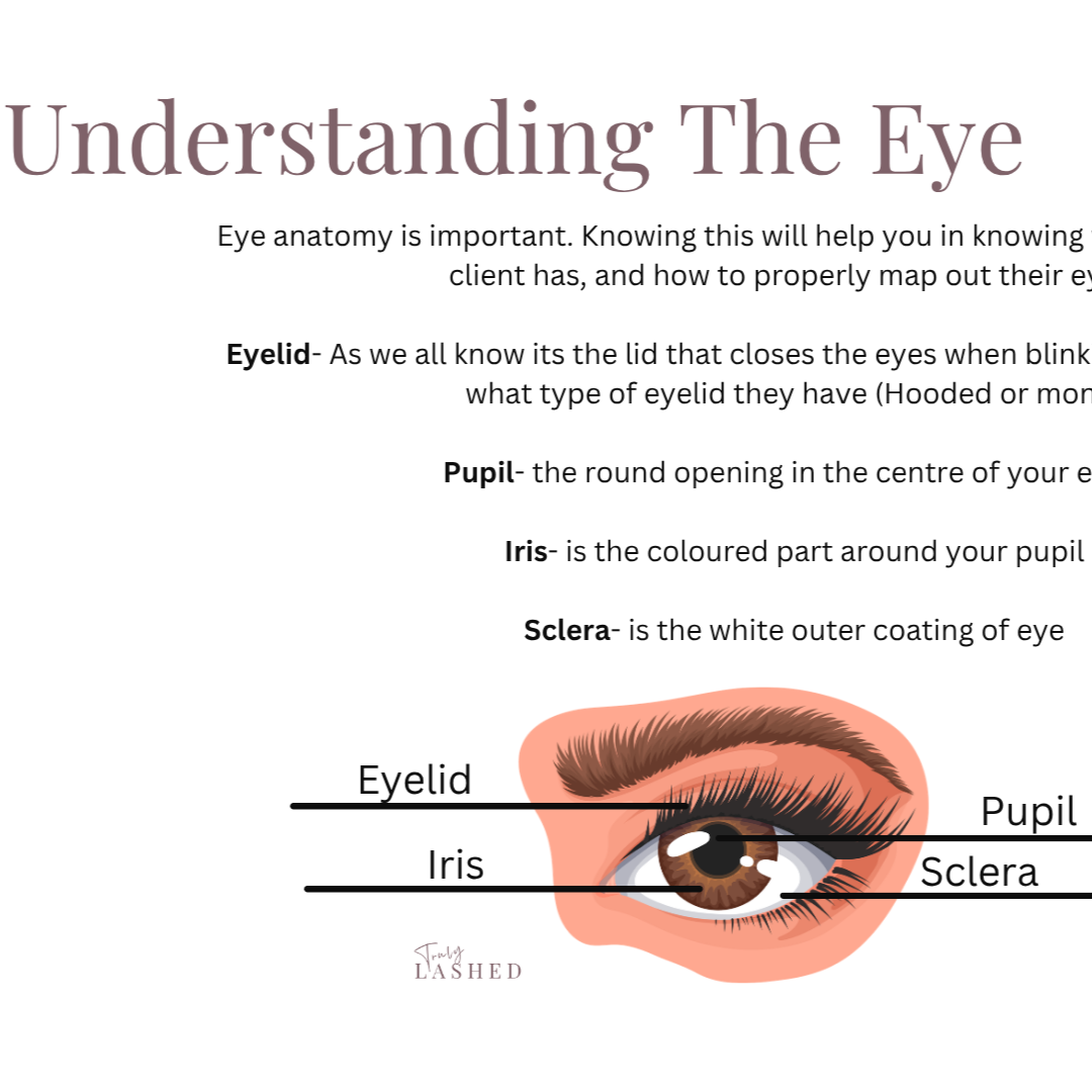 Understand+Eyes.png