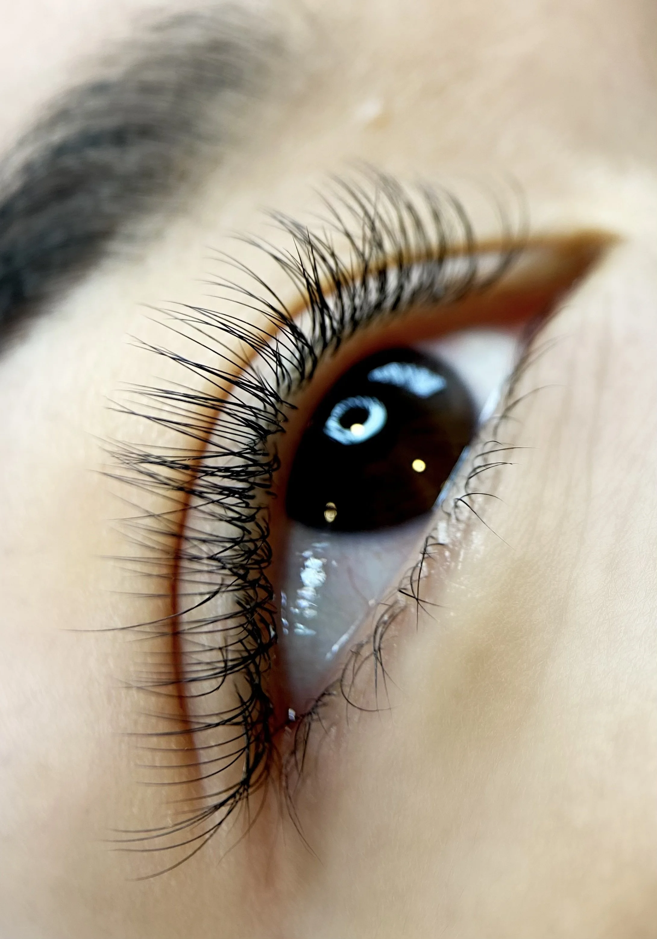 Close-up of a human eye with long, curled eyelashes, brown iris, and eyeliner