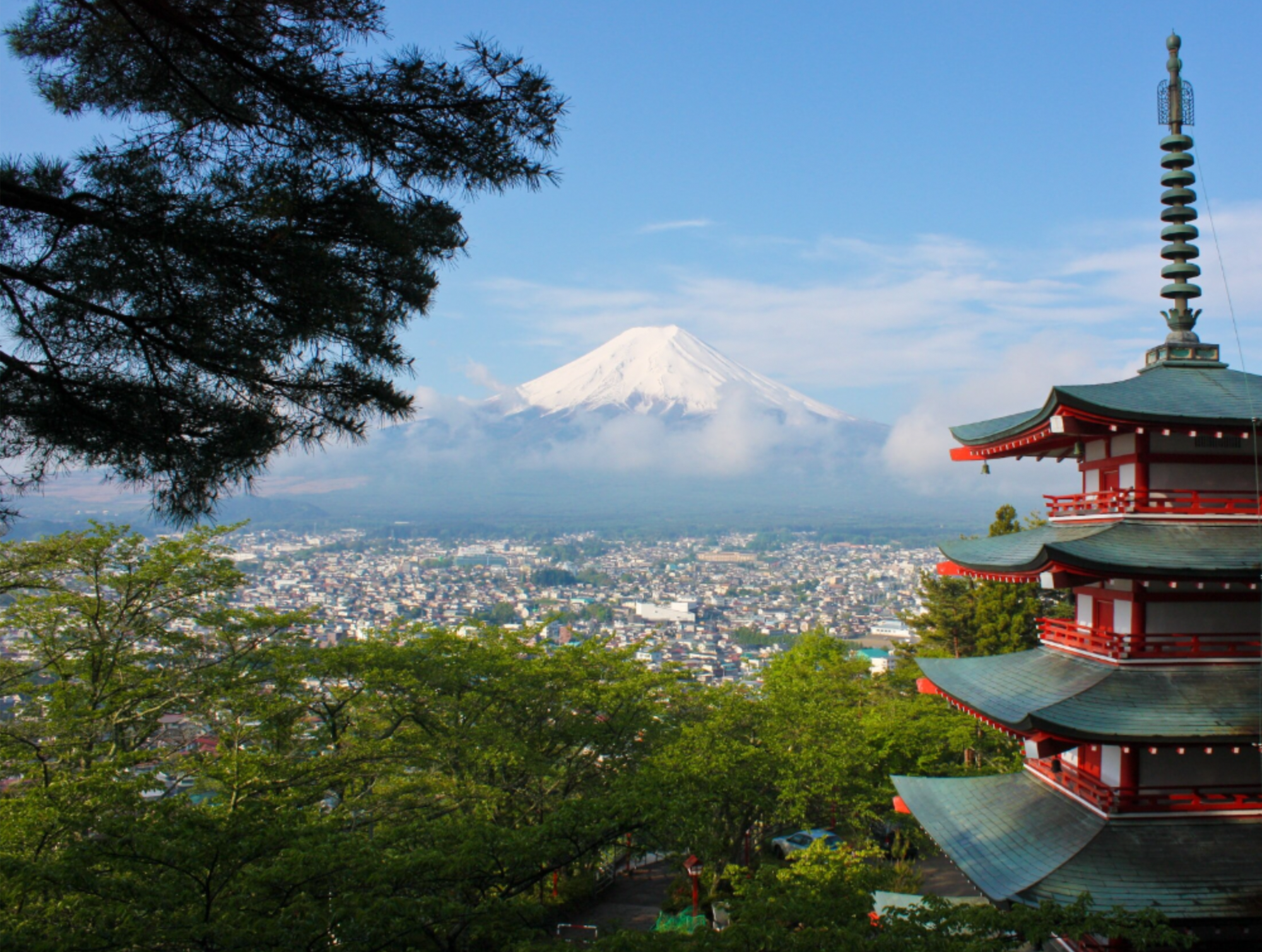 Japan - 300 Liver Specialists