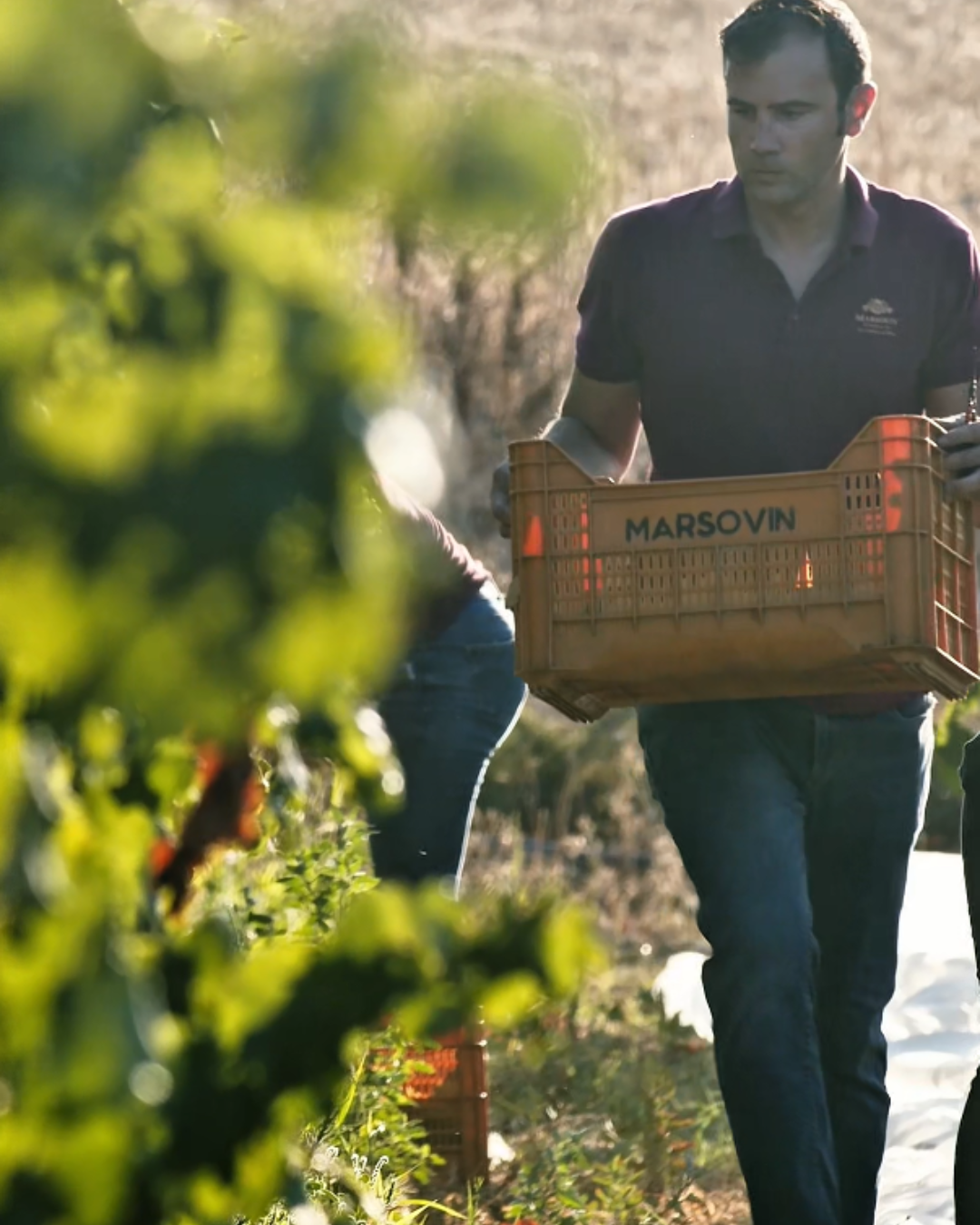 Untitled design - 2026-04-23T132446.124.png