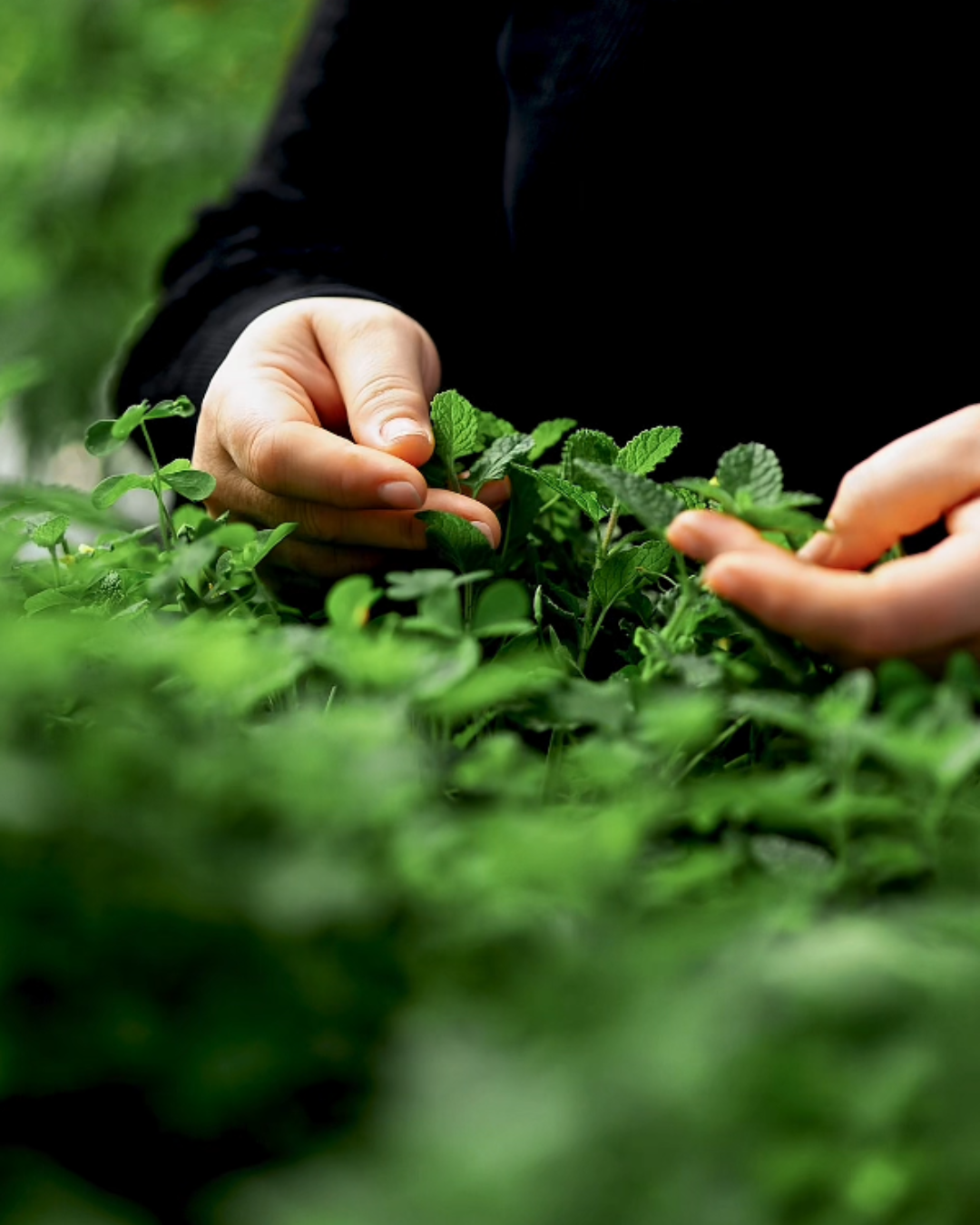 Untitled design - 2026-04-23T131939.163.png