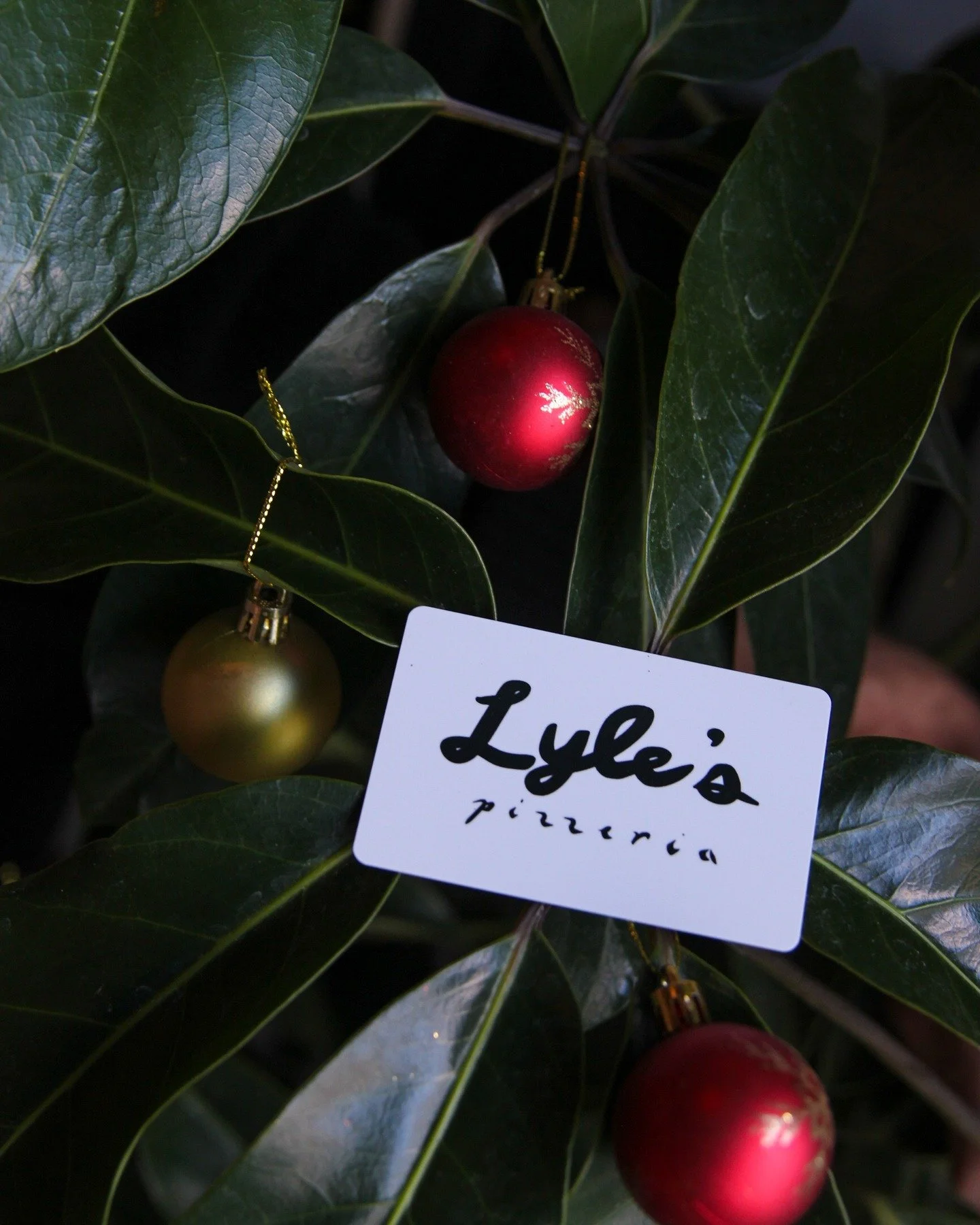 &lsquo;Tis the season to save some dough: snag 20% off $100 or more in gift cards in-store or online with code 'GC2025' Get it while they&rsquo;re hot!