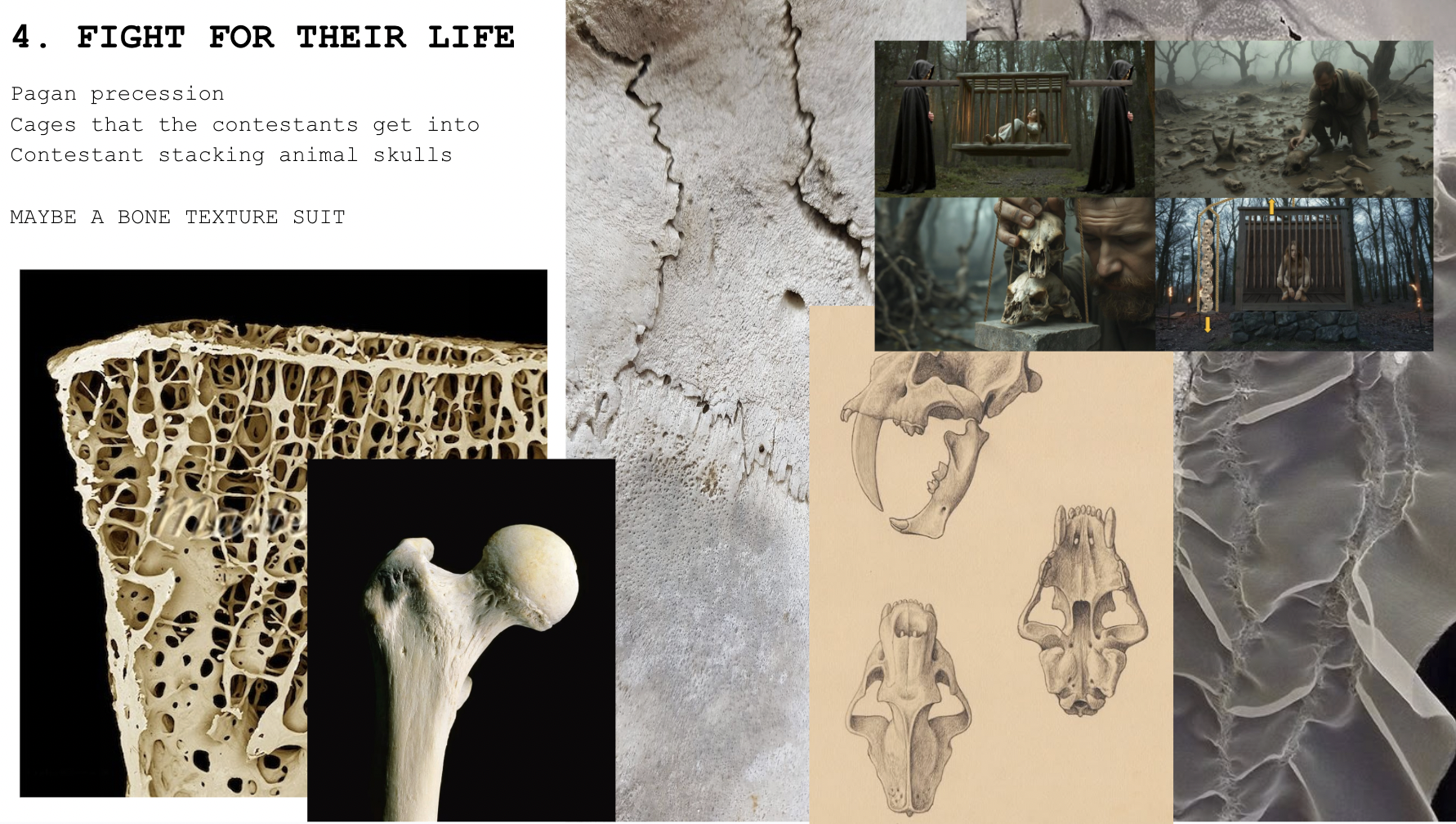 Screen Shot 2026-01-22 at 10.32.21 AM.png