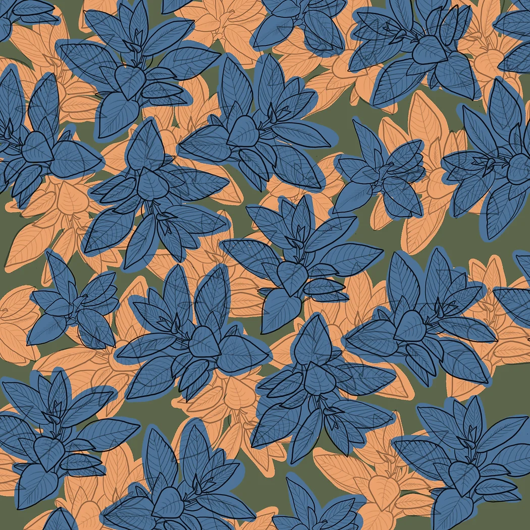 Print Design : Paros